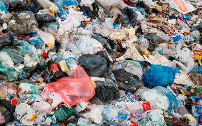 Comment Savoir Si Ma Maison Est Sur Un Terrain Contaminé?