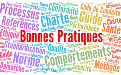 Quelles Sont les Normes de Pratique Professionnelle en Inspection en Bâtiment ?